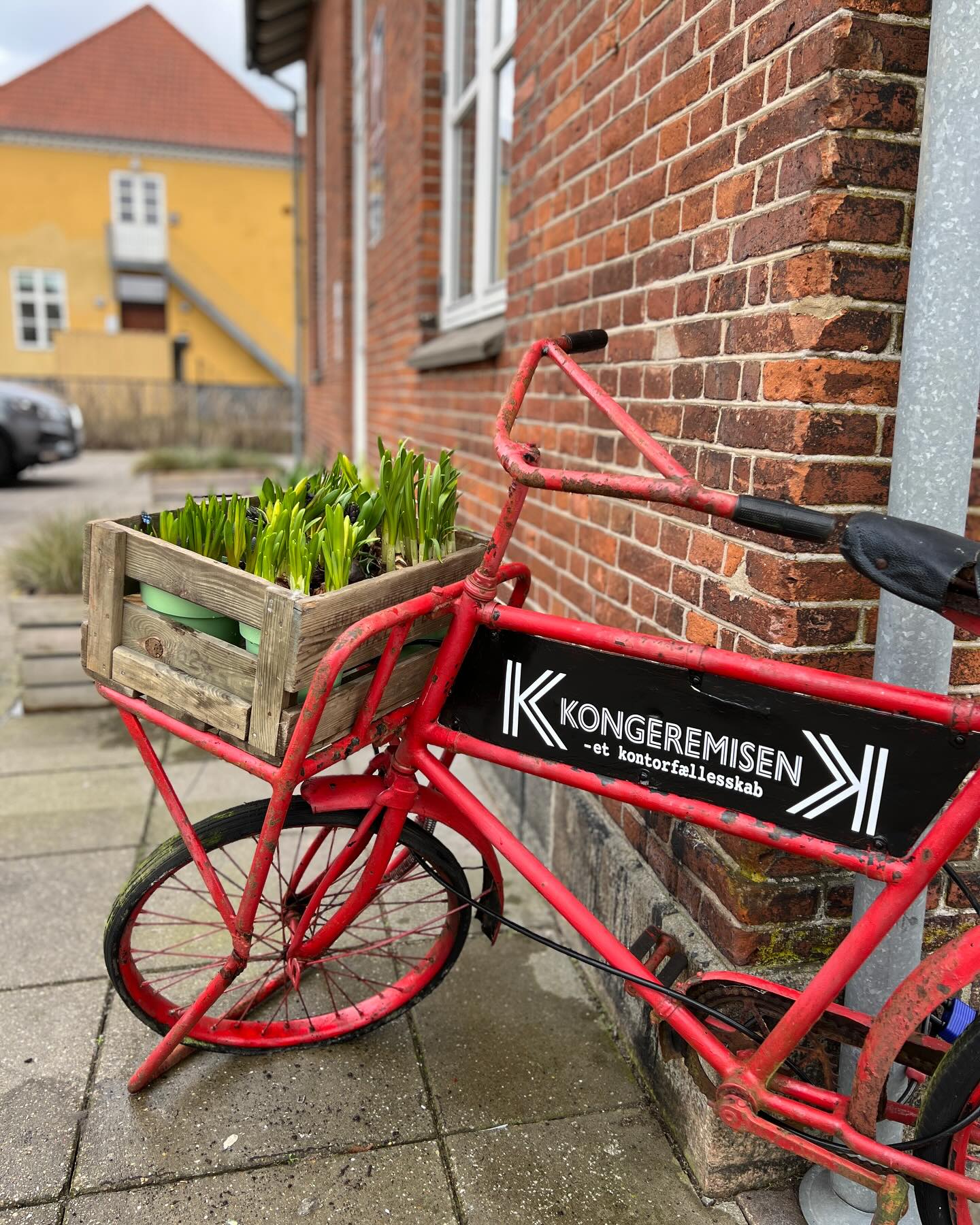 472662269_18367246420136547_3695638669331201556_n